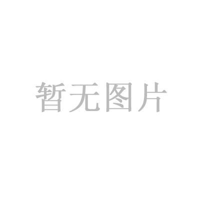 雷恩医疗